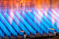 Nursteed gas fired boilers